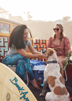 portable dog bowl