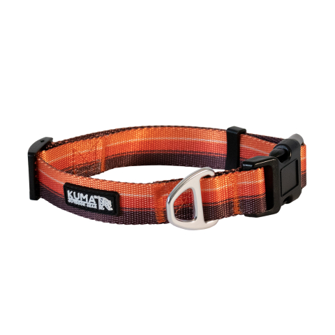 Backtrack Dog Collar