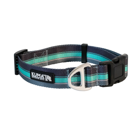 Backtrack Dog Collar