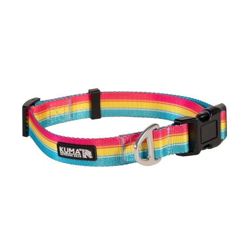 Backtrack Dog Collar