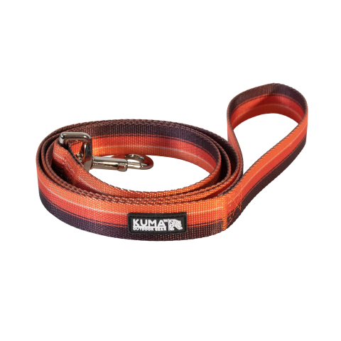 Backtrack Leash