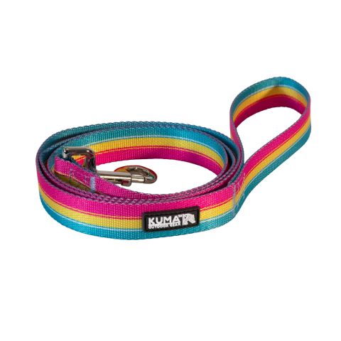 Backtrack Leash