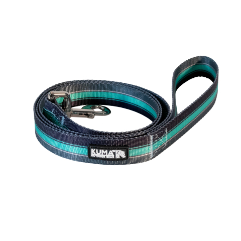 Backtrack Leash