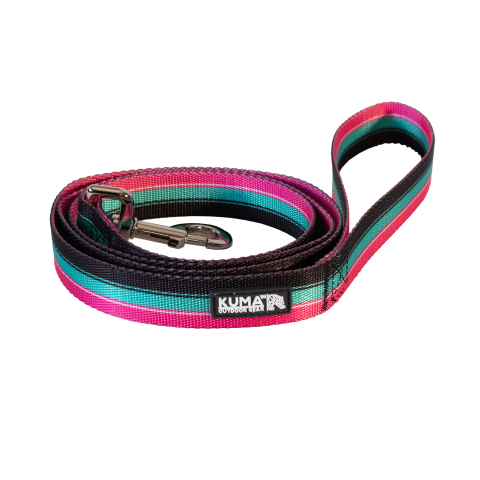 Backtrack Leash