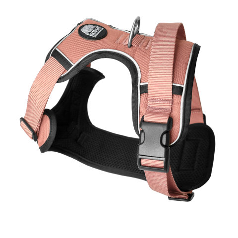 Lazy Bear Dog Harness