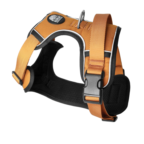 Lazy Bear Dog Harness