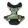 Lazy Bear Dog Harness Lazy Bear Dog Harness