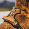 Lazy Bear Dog Harness Lazy Bear Dog Harness