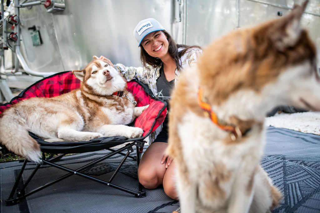 Lazy bear dog chairs