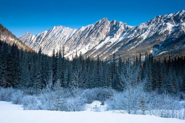 Jasper National Park, Alberta