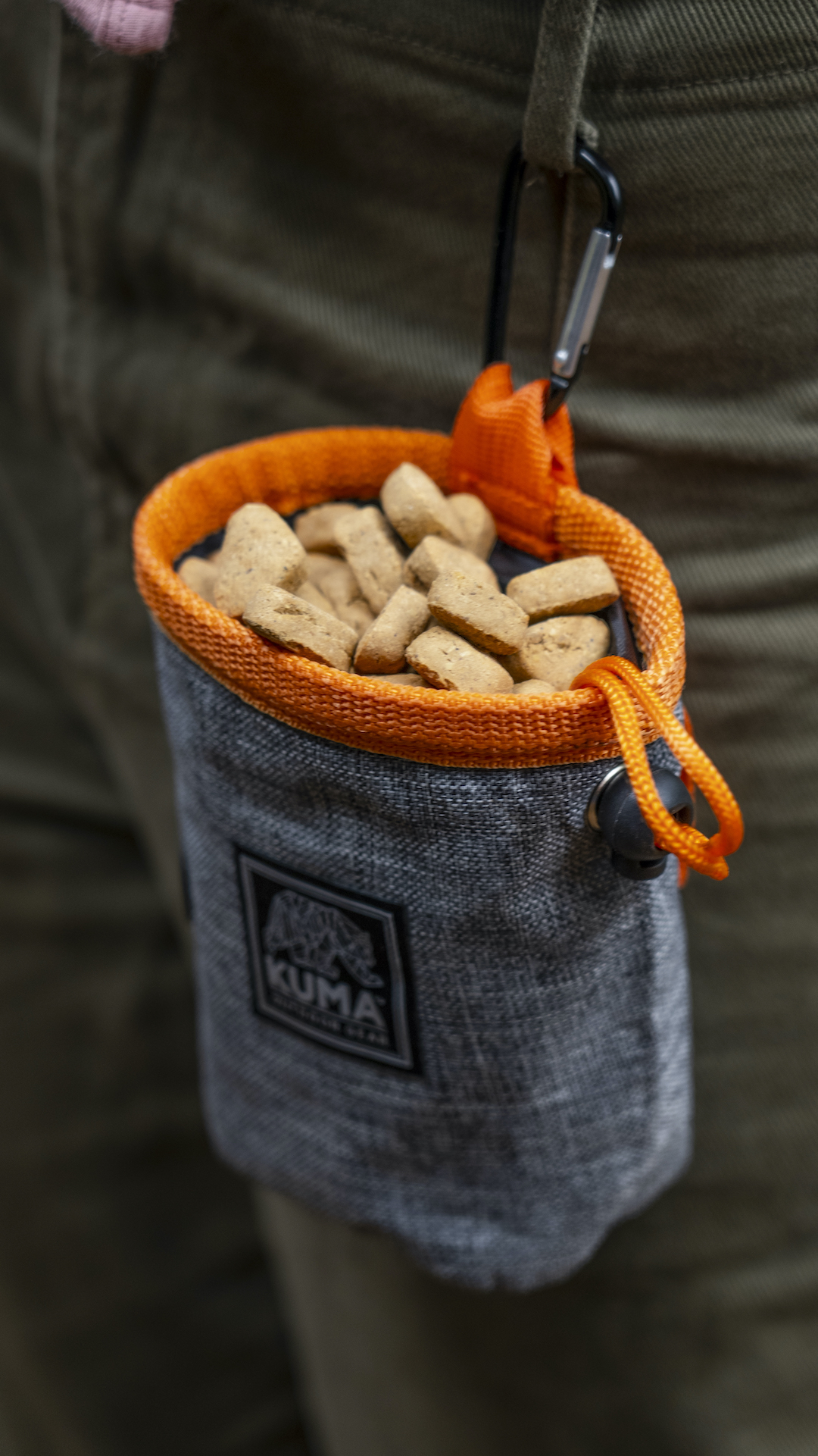 Good Dog Treat Pouch