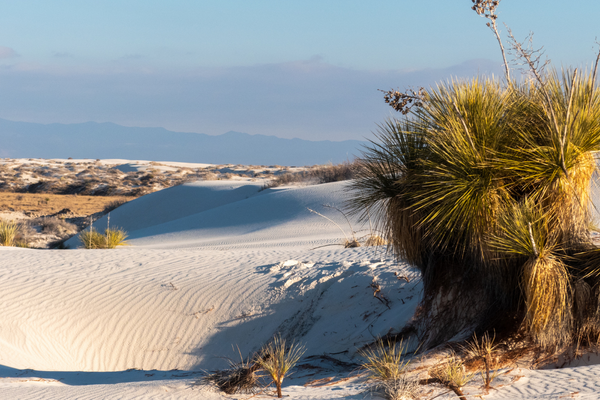 White Sands National Park, New Mexico