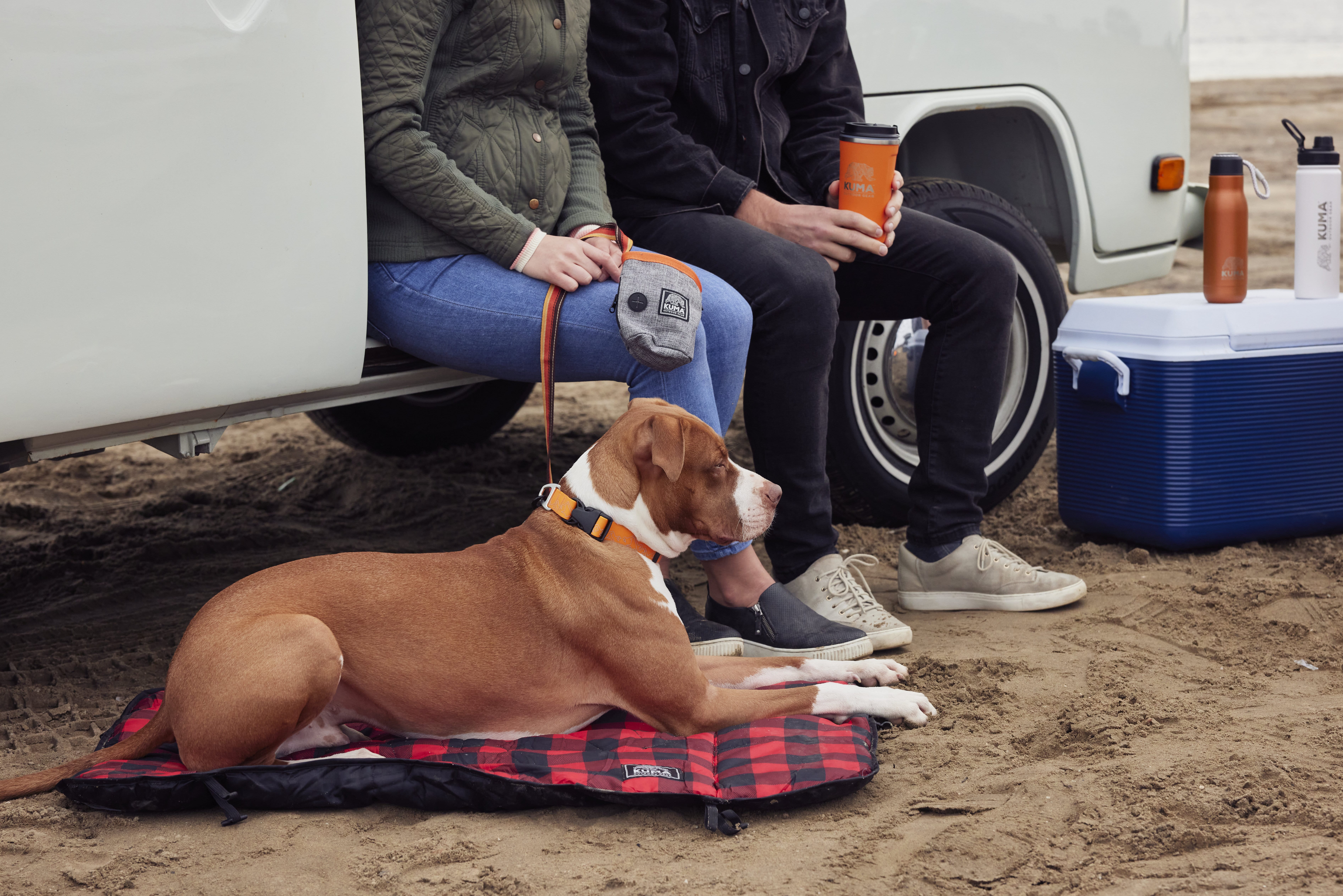 camping with pet
