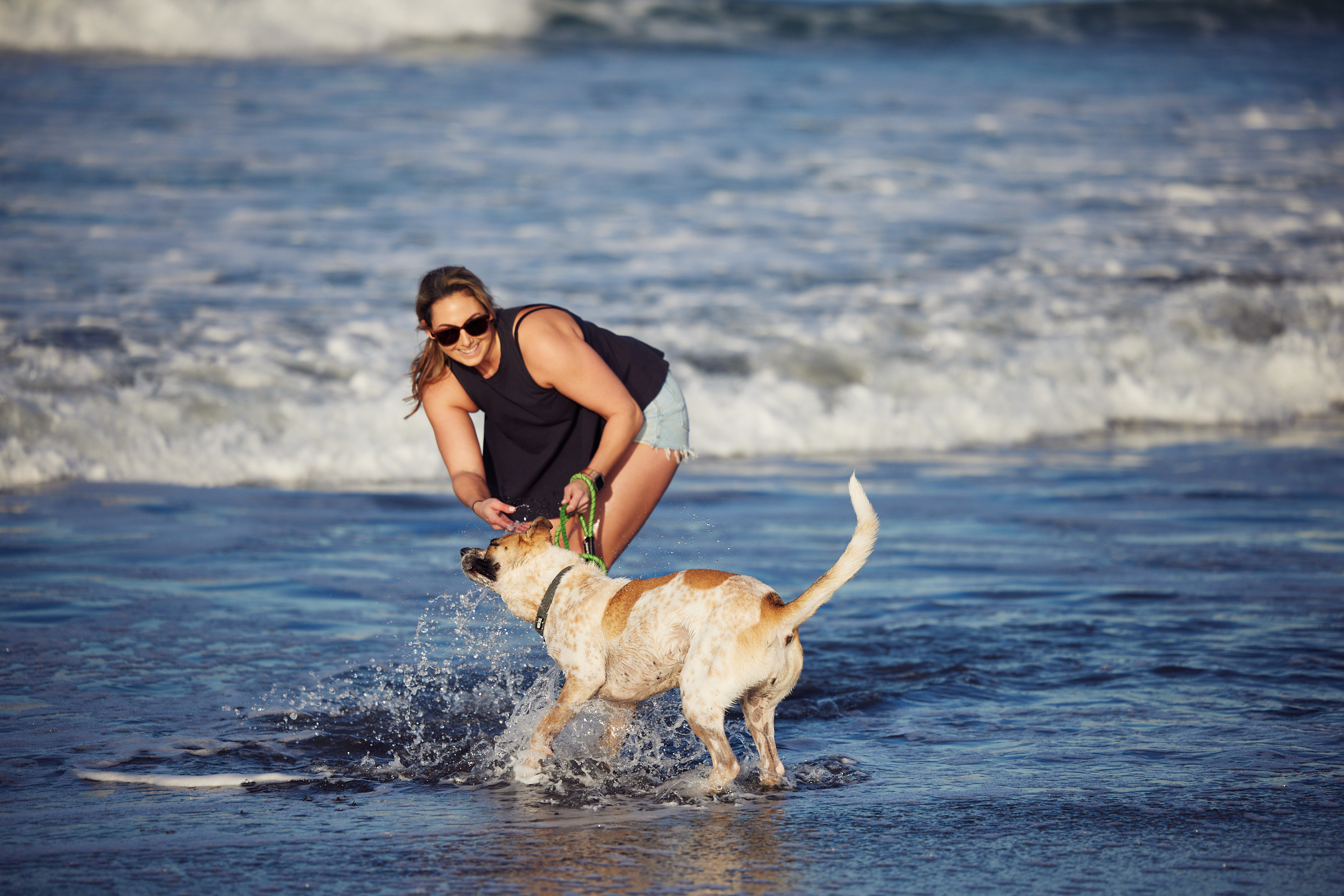 human and her dog playing by the beach