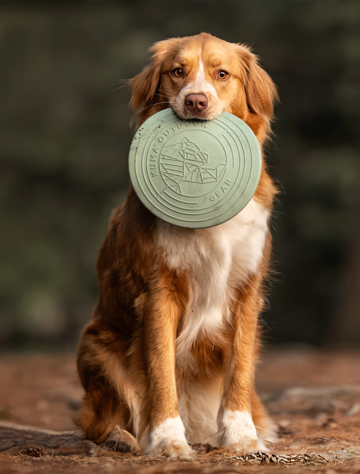 Kuma Outdoor Gear